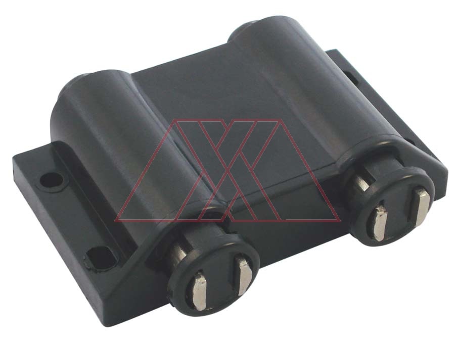 Pushing magnetic catch, double
